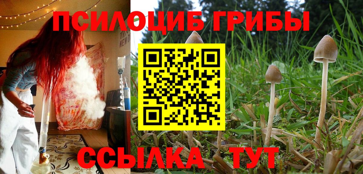 Галлюциногенные грибы мицелий Мирный